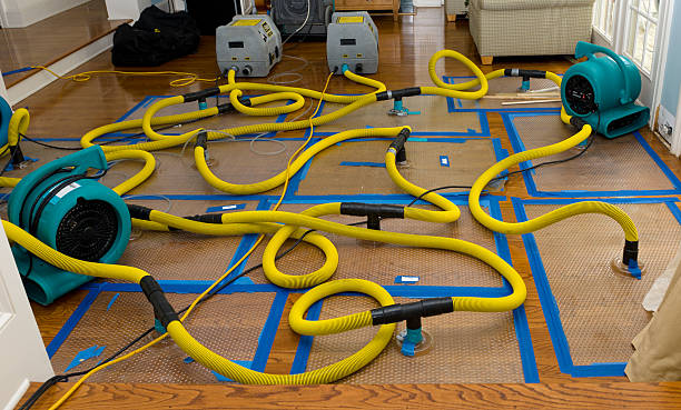 Professional Sewage Cleanup technician working in Neshanic Station, NJ